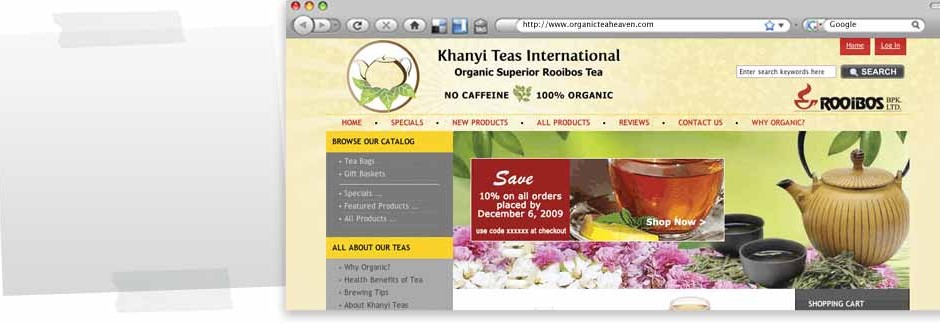 eCommerce website