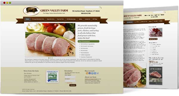 Wordpress design CT